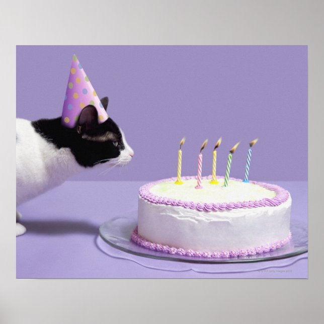 Affiche Chat portant un casquette d'anniversaire soufflant (Devant)