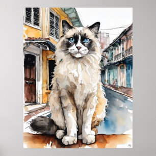Affiche Chat Ragdoll - Art Chat Imprimer