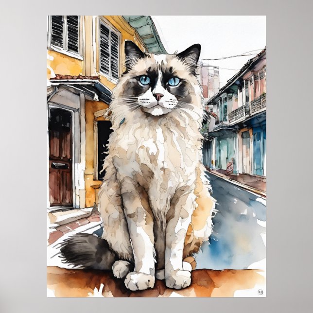 Affiche Chat Ragdoll - Art Chat Imprimer (Devant)