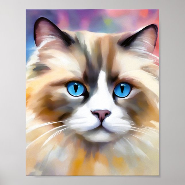 Affiche Chat Ragdoll élégant et paisible (Devant)