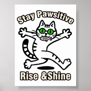 Affiche Chat Restez Positif