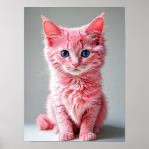 Affiche Chat rose