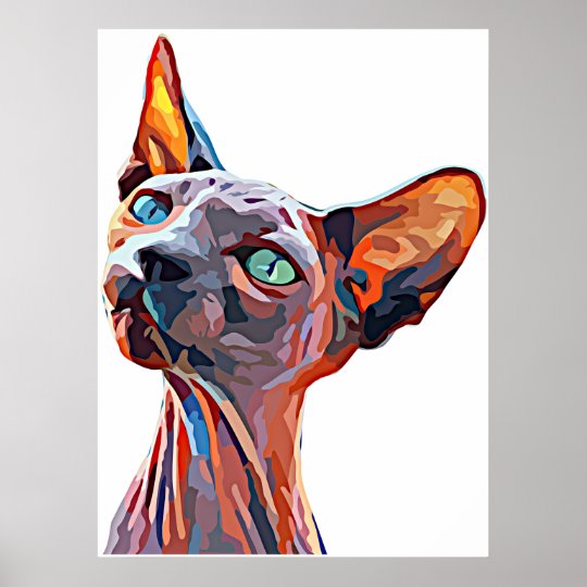 Affiche Chat Sans Cheveux Animal Abstrait Art Colore Zazzle Fr