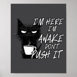 Affiche Chat sarcastique drôle de chat Je suis là Je suis