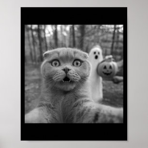 Affiche chat Scottish fold selfie fantôme trick or treater