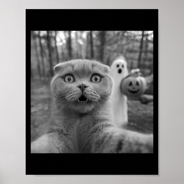 Affiche chat Scottish fold selfie fantôme trick or treater (Devant)