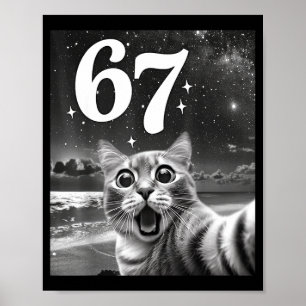 Affiche Chat selfie avec 67 mème chats drôles graphique po