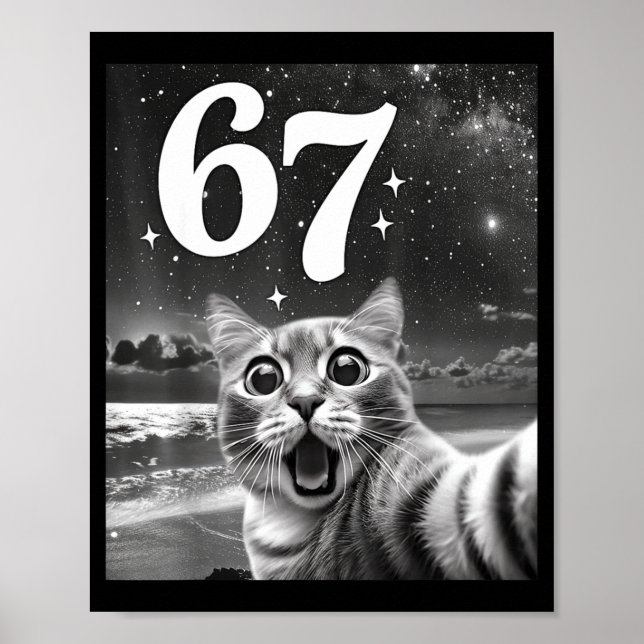 Affiche Chat selfie avec 67 mème chats drôles graphique po (Devant)