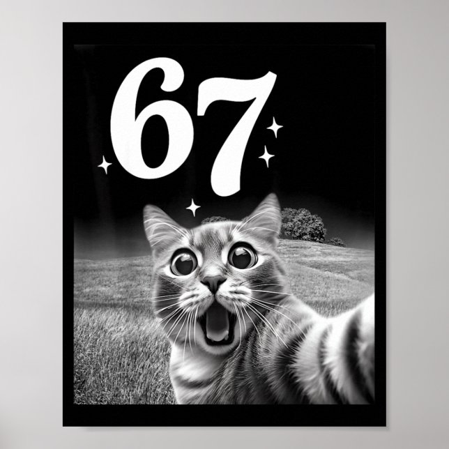 Affiche Chat selfie avec 67 mème chats drôles graphique po (Devant)