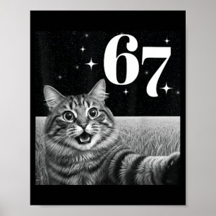Affiche Chat selfie avec 67 mème chats drôles graphique po