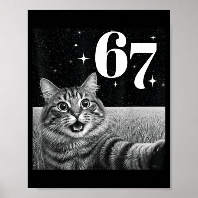 Affiche Chat selfie avec 67 mème chats drôles graphique po (Devant)