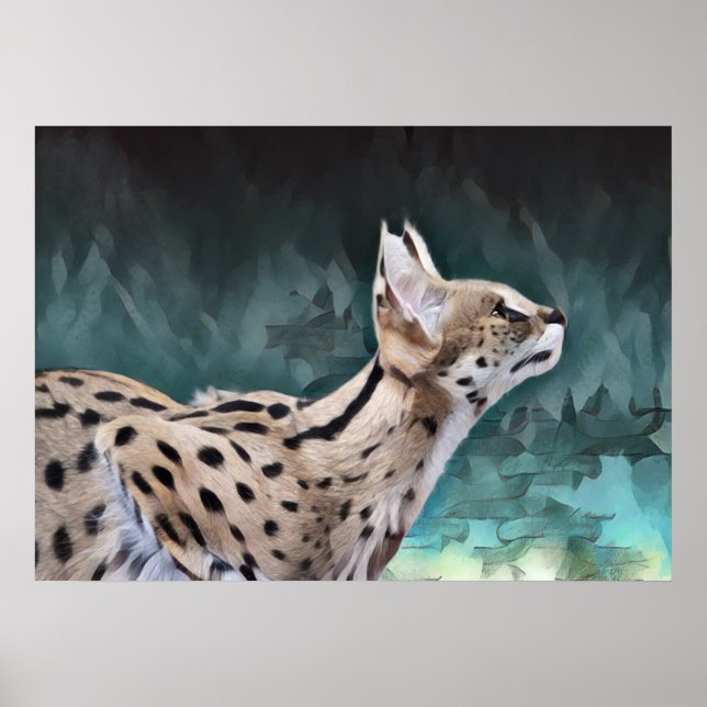 Affiche Chat Serval (Devant)