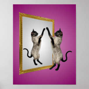 Affiche Chat Siamois Dans Un Animal Miroir