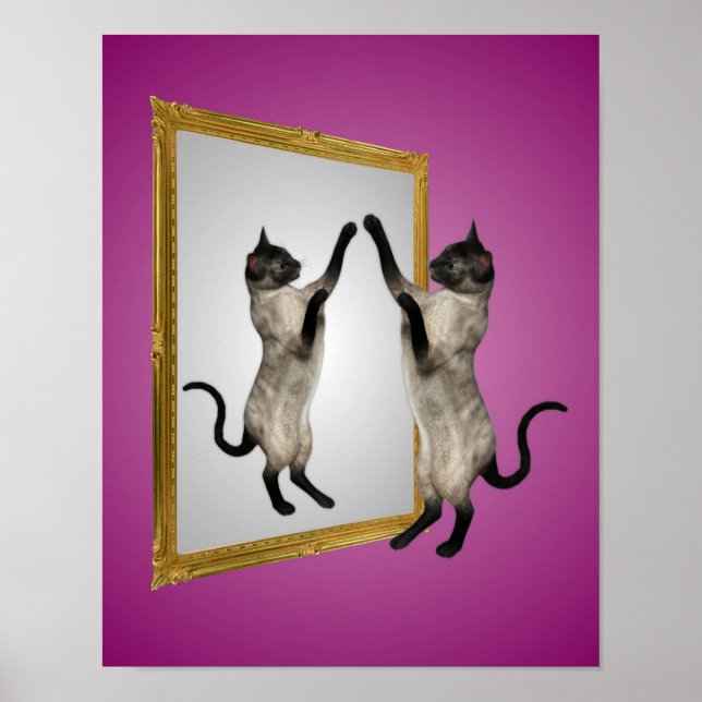 Affiche Chat Siamois Dans Un Animal Miroir (Devant)
