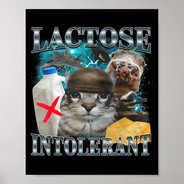 Affiche Chat Silly Intolérant au Lactose Citation Drôle Mè (Devant)