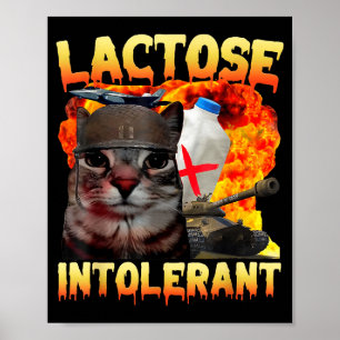 Affiche Chat Silly Intolérant au Lactose Citation Drôle Mi