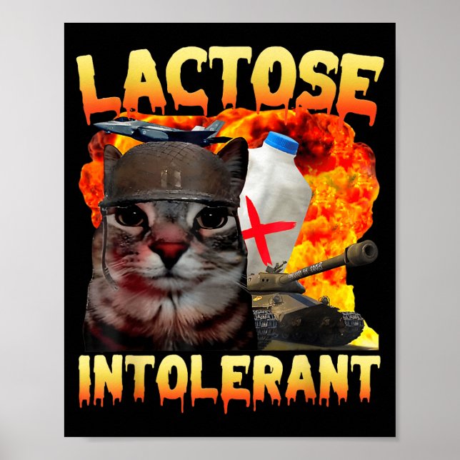 Affiche Chat Silly Intolérant au Lactose Citation Drôle Mi (Devant)