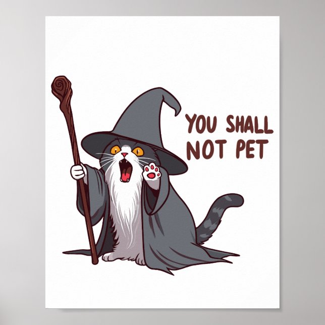 Affiche Chat Sorcier Tu ne Dois pas Caresser (Devant)