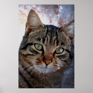 Affiche Chat spatial