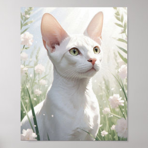 Affiche Chat Sphynx blanc et fleurs