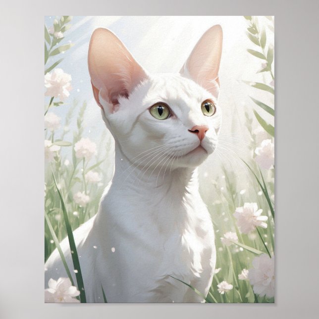 Affiche Chat Sphynx blanc et fleurs (Devant)
