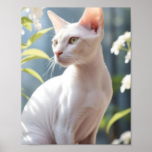 Affiche Chat Sphynx blanc et fleurs