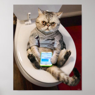 Affiche Chat sur Toilette