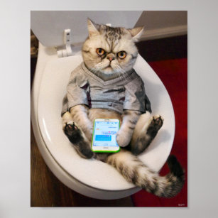 Affiche Chat sur Toilette