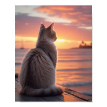 Chat sur un quai avec un coucher de soleil et un a