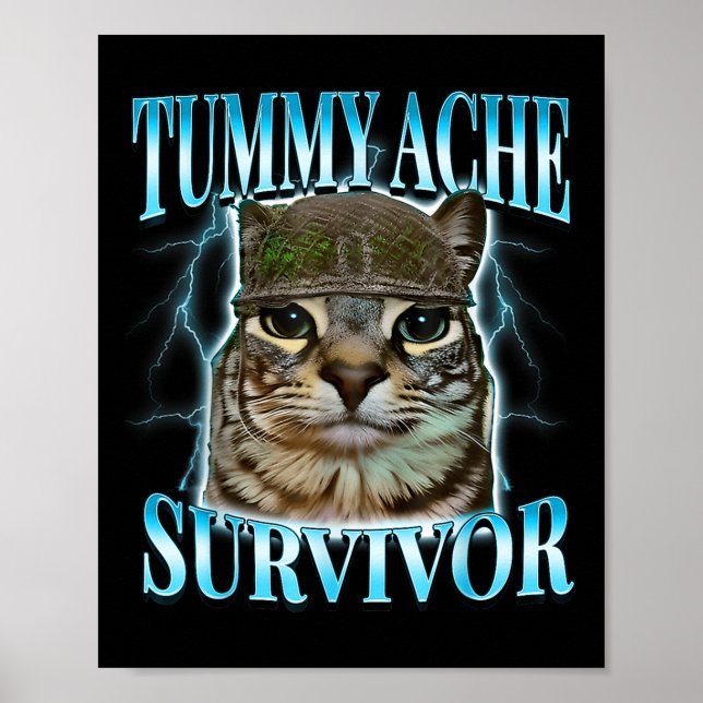 Affiche Chat survivant des maux de ventre Mème Citation dr (Devant)