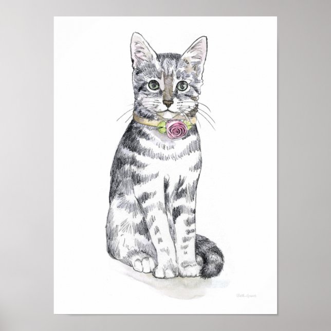Affiche Chat Tabby Fancy (Devant)
