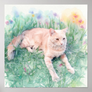Affiche Chat tigré