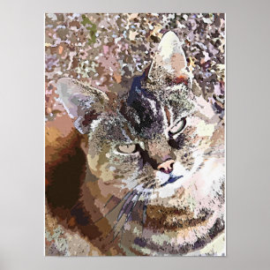 AFFICHE CHAT TIGRÉ