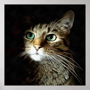 Affiche Chat Tigre aux Yeux Verts Isolés sur Fond Noir