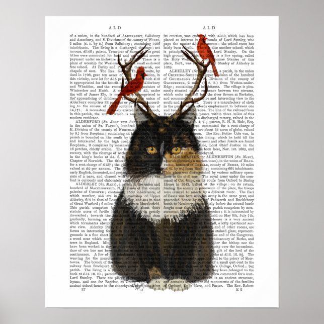 Affiche Chat Tortoiseshell avec Antlers et Red Birds (Devant)