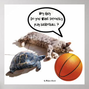 AFFICHE CHAT, TORTUE ET BASKETBALL