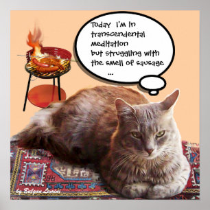 AFFICHE CHAT TURC EN MÉDITATION TRANSCENDANTALE