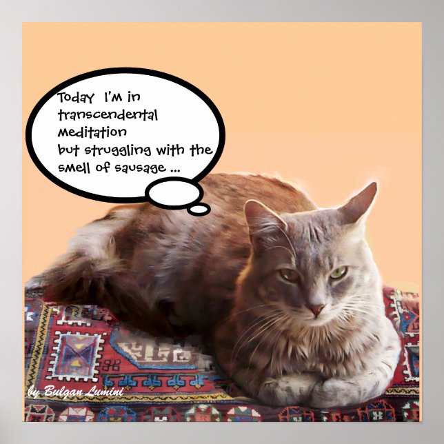 AFFICHE CHAT TURC EN MÉDITATION TRANSCENDANTALE (Devant)