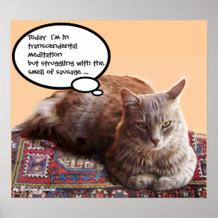 AFFICHE CHAT TURC EN MÉDITATION TRANSCENDANTALE