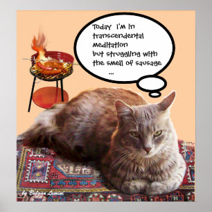 AFFICHE CHAT TURQUE EN MÉDITATION TRANSCENDENTALE
