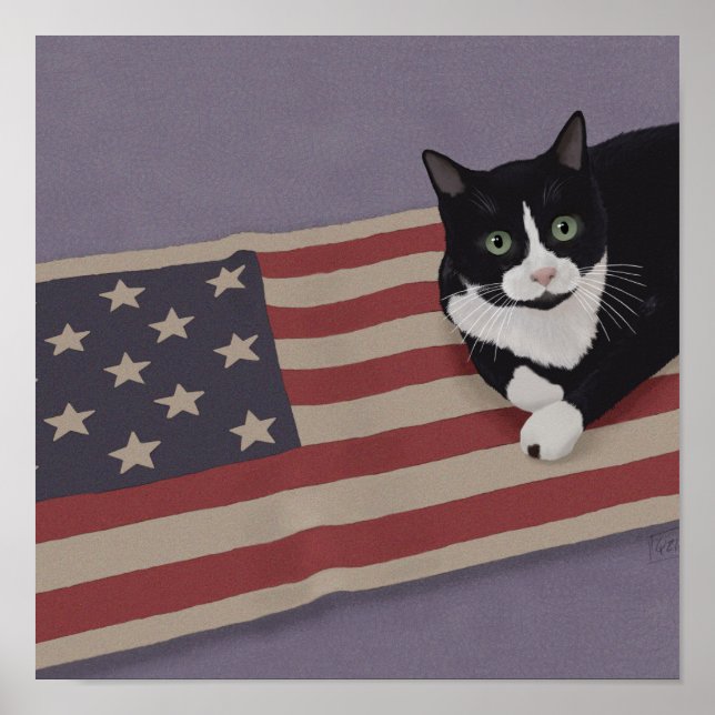 Affiche Chat USA  (Devant)