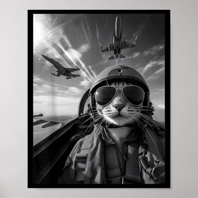 Affiche Chat Volant Selfie Drôle Pilote de Chasse Mème Réa (Devant)