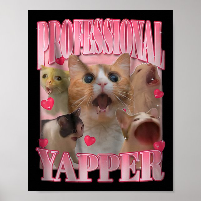Affiche Chat Yapper Professionnel Drôle Odly Spécifique Ch (Devant)