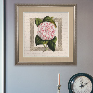 Affiche Chateau Chic Botanique Vintage Camellia