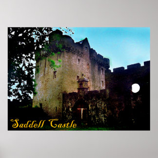 Affiche château de saddell
