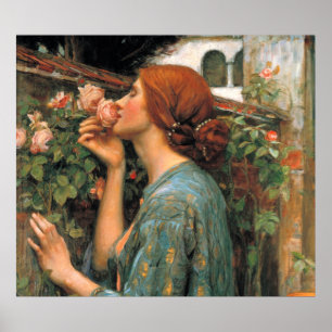 Affiche Château d'eau : Odeur des roses