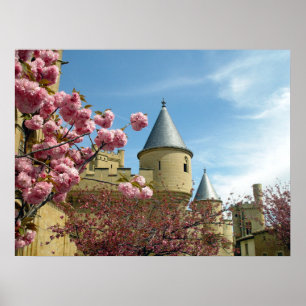 Affiche Château et fleurs