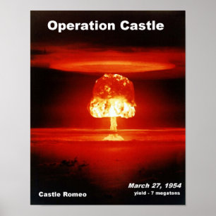 Affiche Château_Romeo