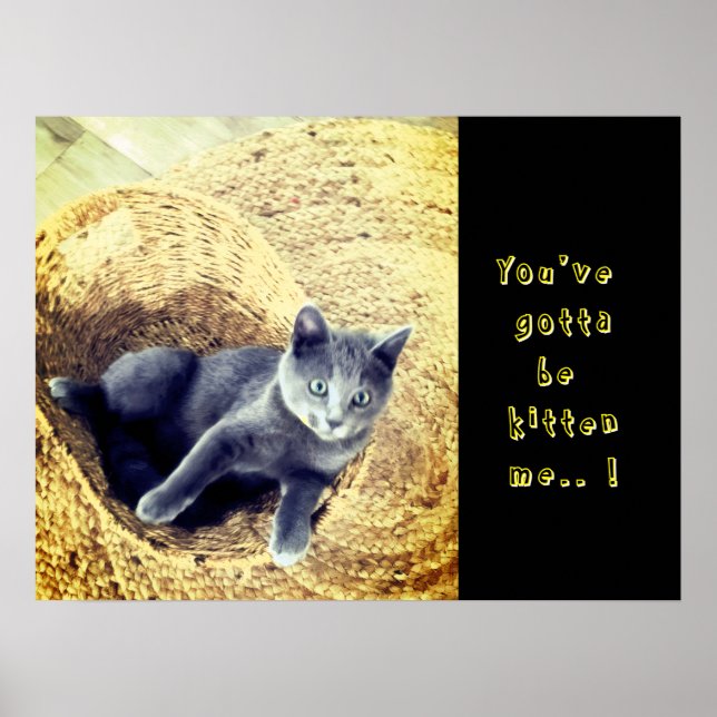 Affiche Chaton  (Devant)