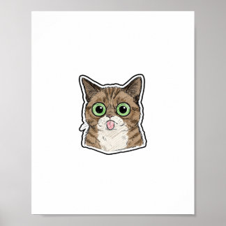 Affiche Chaton aux yeux écarquillés